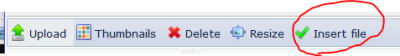 Insert file button
